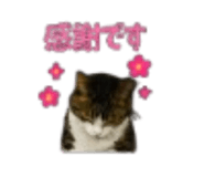 889049502