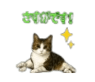 889049511