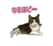 889049514