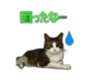 889049517