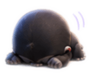 889051240
