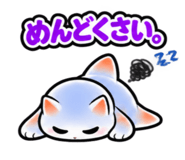 889064446