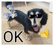 889065287