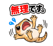 889065667