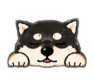 889065903