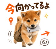 889103581