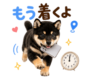889103582
