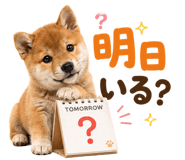 889103589
