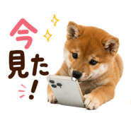 889103599