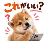 889103605