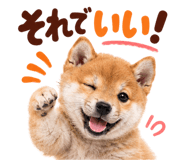 889103608
