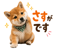 889103609