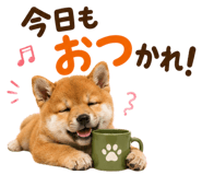 889103611