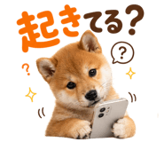 889103613