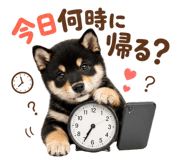 889103616