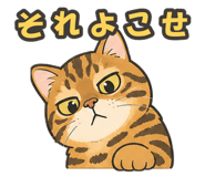 889127543
