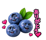 889188626