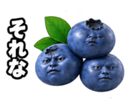889188634
