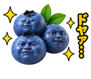 889188636