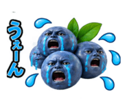 889188637