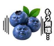 889188640