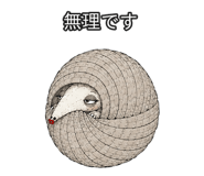 889204316