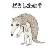 889204337