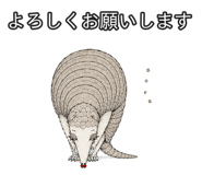 889204342