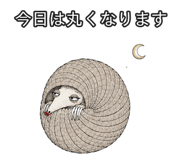 889204344