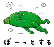 889204855