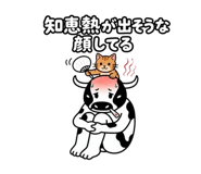 889214142