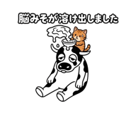 889214146