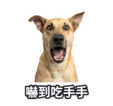889222972