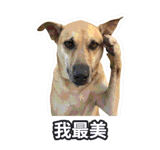 889222991