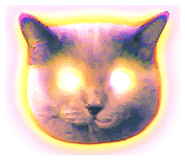 889231661