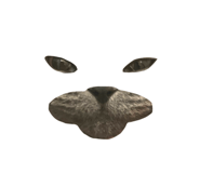 889231667