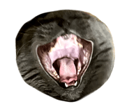 889231671