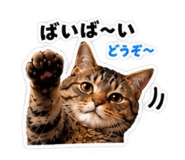 889235550