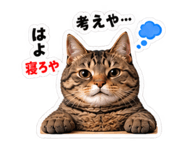 889235557