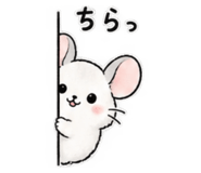 889235586