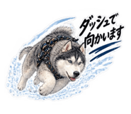 889235922