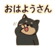 889236113