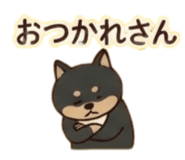 889236114