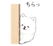 889236280