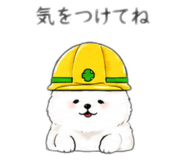 889236309