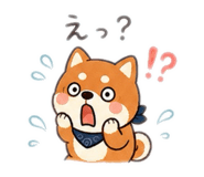 889238768