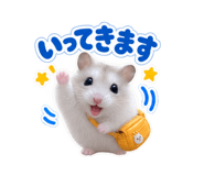 889239111