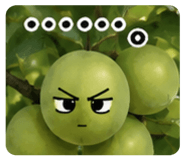 889253324