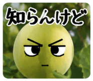 889253327