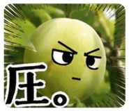 889253331